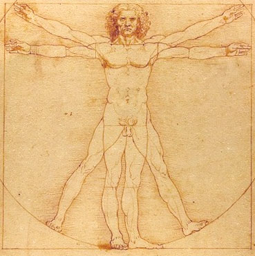 vitruvian man